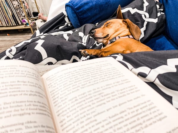 2021 Reading Goals