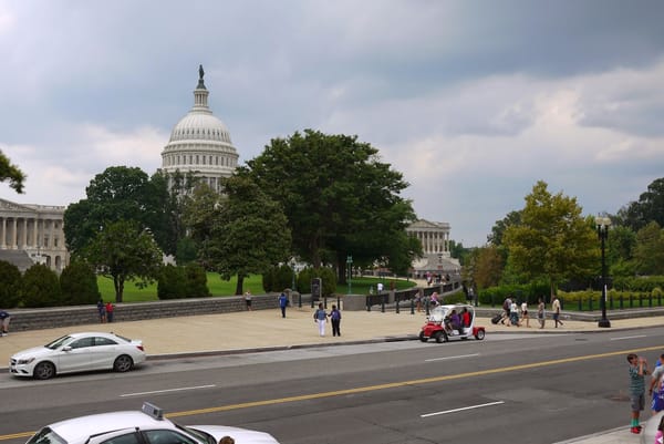 Salvaging Summer in Washington DC