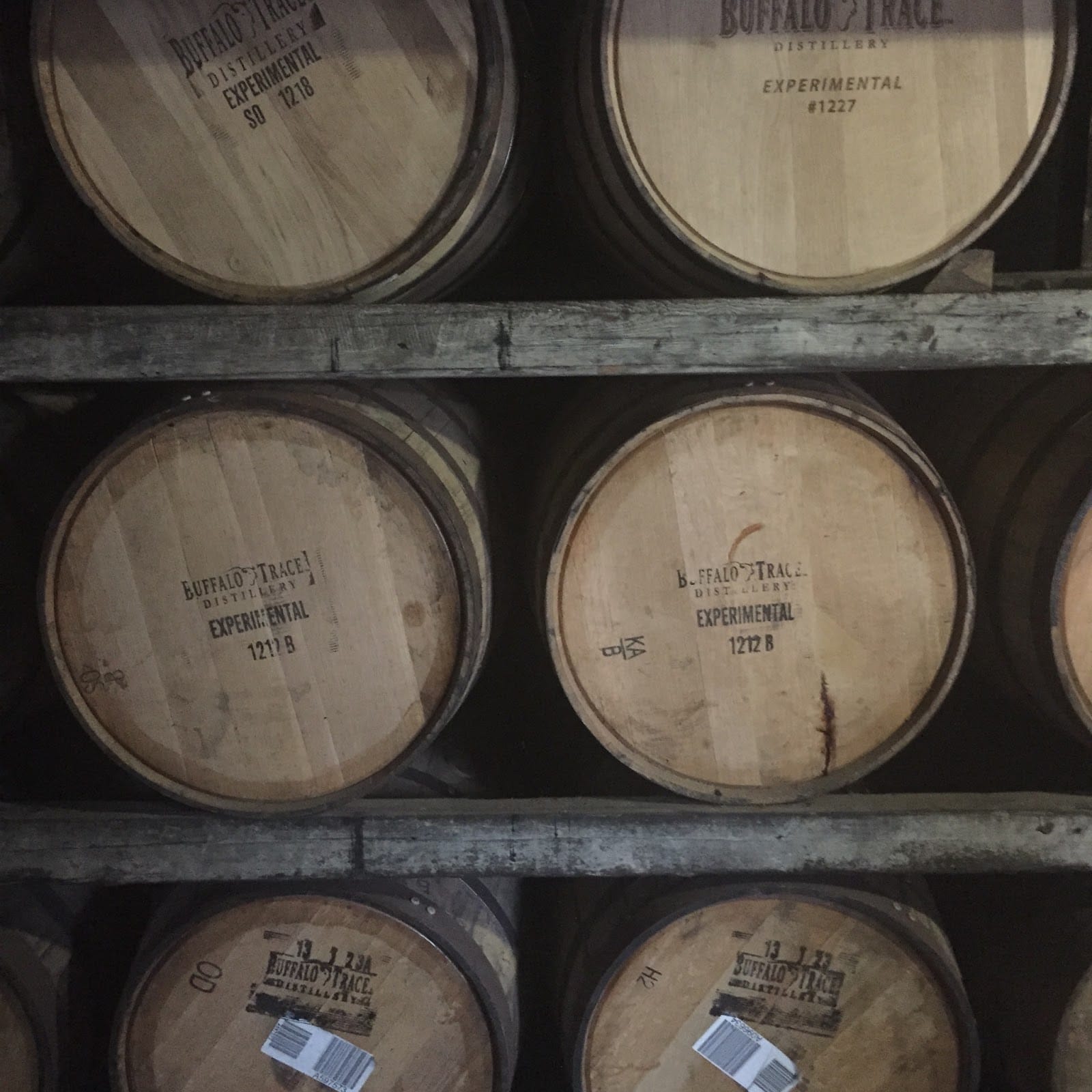 The Joys of Training