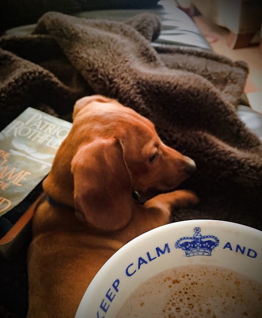 A book is a dream that you hold in your hand