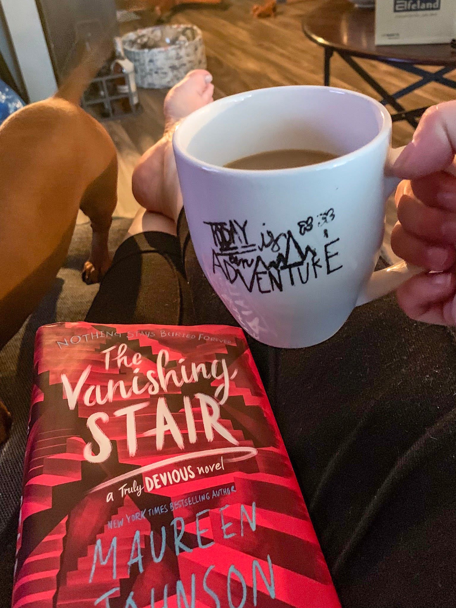 Review of The Vanishing Stair