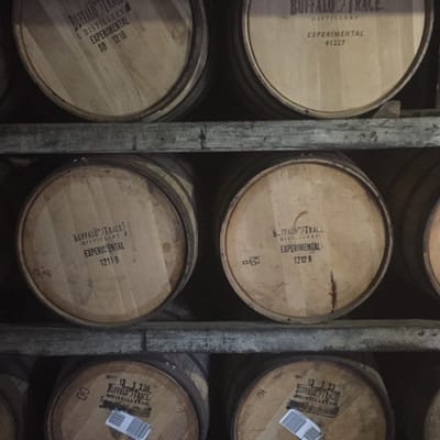 The Joys of Training