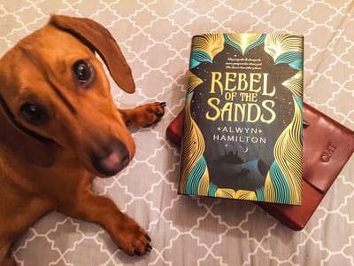 Rebel of the Sands Review