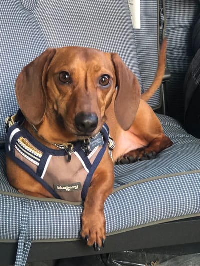 Looking Forward to April