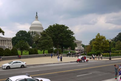 Salvaging Summer in Washington DC